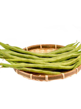 寿光正宗泰国芸豆四季蔬菜种子