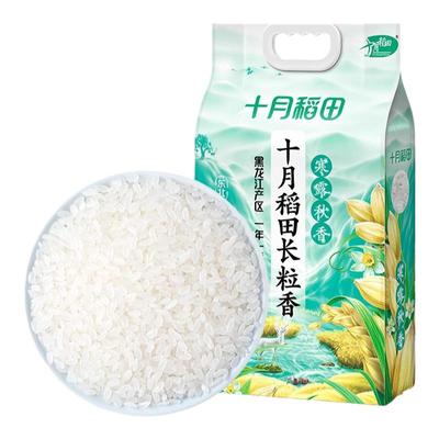 十月稻田黑龙江长粒香大米当季