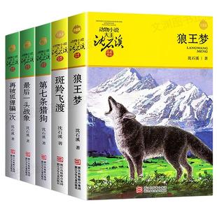 狼王梦沈石溪正版动物小说全集系列全套5册斑羚飞渡最后一头战象第七条猎狗6-7-10-12岁儿童四五六年级小学生课外阅读全套