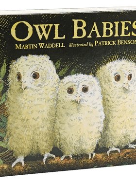 小猫头鹰纸板书 Owl Babies 猫头鹰宝宝英文原版绘本廖彩杏推荐书单儿童低幼启蒙入门 Martin Waddell马丁韦德尔亲情