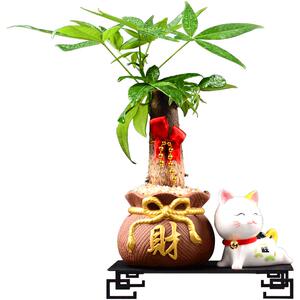 创意发财树盆栽绿植摆件家居饰品客厅电视柜办公桌面装饰玄关摆件