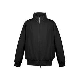 二十二号穿搭硬汉利落感新国标90白鸭绒立领保暖羽绒服男外套上衣