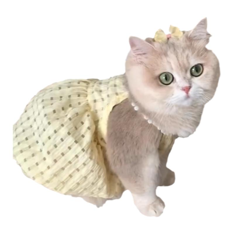 猫咪衣服小猫裙子春夏防掉毛宠物连衣裙金渐层德文布偶薄款可爱狗