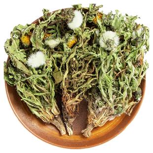 寻百草蒲公英中药材正品500g野生整株蒲公英新蒲公英根夏枯草郁金