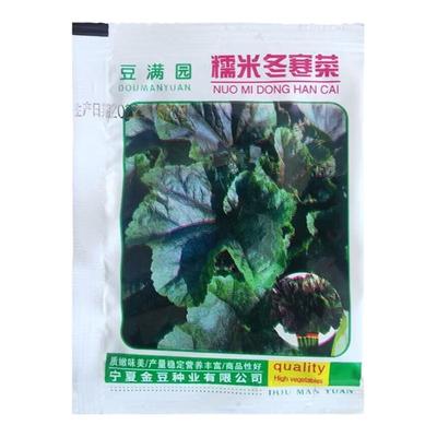 蔬菜苗糯米冬寒菜耐热口感好