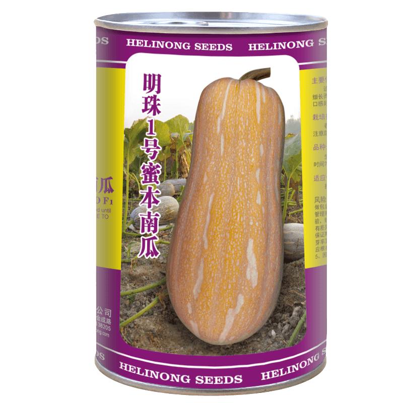 蔬菜种子高产四季蜜本南瓜