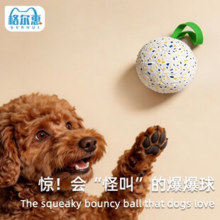狗狗玩具怪叫球耐咬弹力宠物解闷发声逗狗足球小型大型犬互动巡回