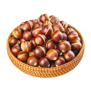 开好口2025年现摘锥栗建瓯高山板栗新鲜生油栗圆栗农家野生毛栗子