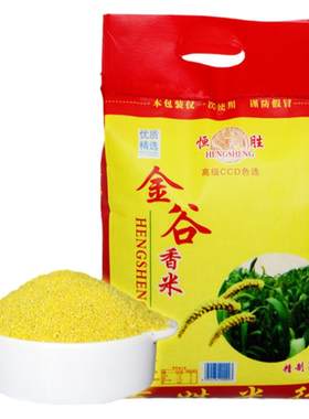 山东十斤黄小米香糯粘稠小黄米