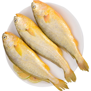 黄花鱼新鲜冷冻深海大黄鱼生鲜海鲜水产鲜活海鱼商品品质节日送礼