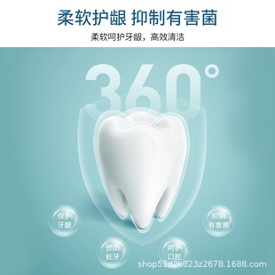 日本狮王细齿洁弹力清洁装 刷牙刷龈牙刷护软毛支4 弹力柄家庭装