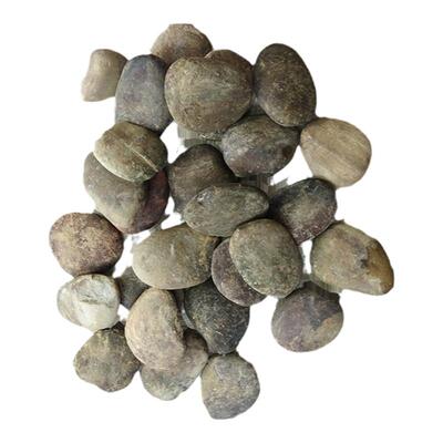 河滩石鹅卵石自然扁石头