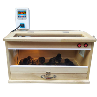 鸡苗鹌鹑鹦鹉育雏活体保温箱子雏鸟鸭苗出壳箱鸽子育雏保温箱孵化