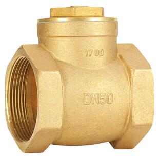 黄铜卧式止回阀自来水管单向阀水表逆止阀4分6分直通式防反水1寸