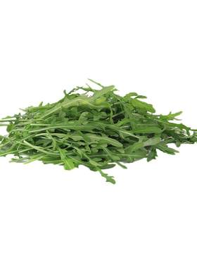 芝麻菜火箭菜新鲜蔬菜西餐沙拉