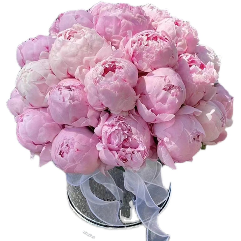 杭州鲜花速递同城玫瑰花芍药混搭花束女友爱人闺蜜生日花送上门