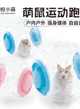 悦小萌仓鼠跑球运动跑步轮金丝熊花枝鼠专用滚轮解闷自嗨玩具用品