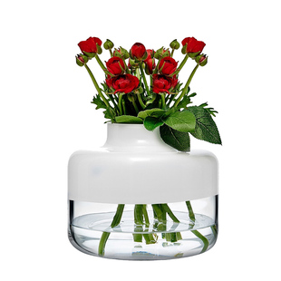 NUDE进口白玉兰花瓶水晶玻璃透明摆件客厅家用水培富贵竹百合花瓶