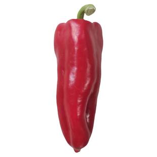 特大牛角椒种子大青椒辣椒种籽阳台庭院盆栽蔬菜种孑高产春夏四季