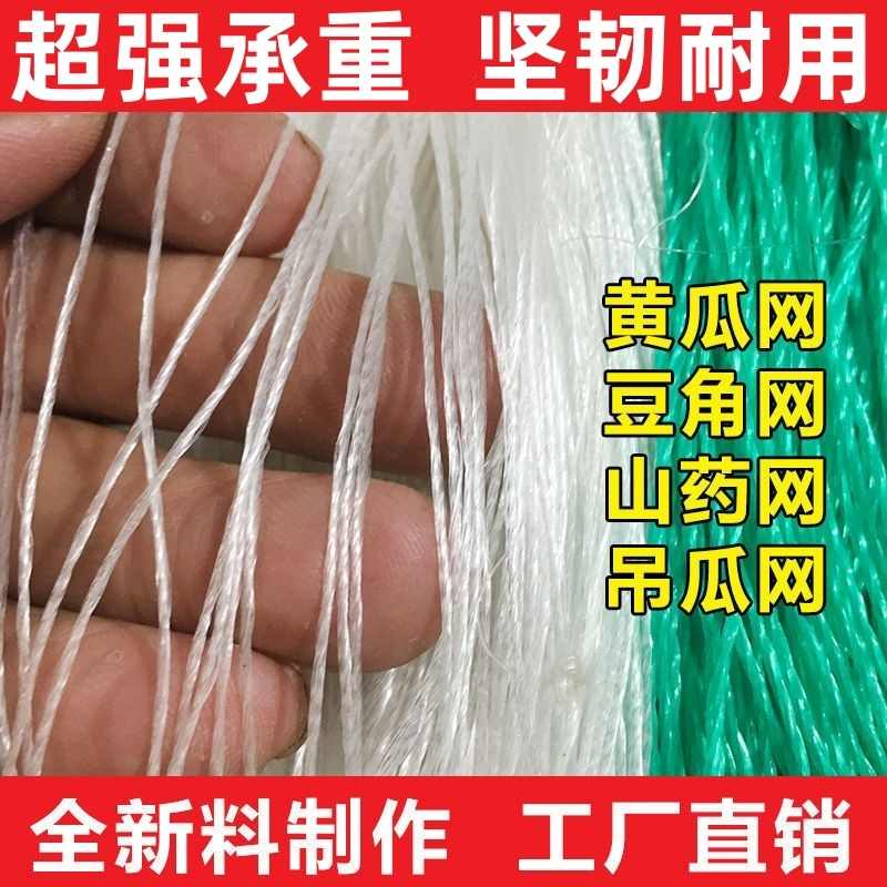 豆角黄瓜苦瓜丝瓜吊瓜山药百香果瓜网植物爬藤网种植网攀爬农用