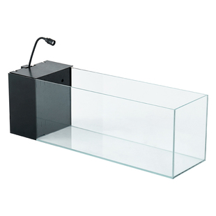 溪流缸客厅小型超白侧滤玻璃一体式新款免换水鱼缸家用桌面造景缸