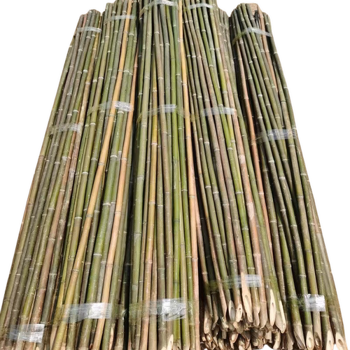 豆角架杆四季豆爬藤架竹竿菜园搭架竹子杆支架批发黄瓜葡萄架围栏