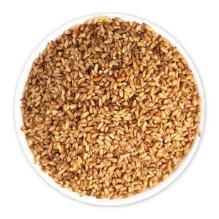 柏子仁500g 国强中药中草药中药饮片中药材抓配中药材药厂直销