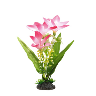 酒店意境菜品冷菜盘饰餐饮刺身摆盘装饰花草创意小摆件寿司点缀花