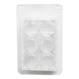 甄选LABSELECT  14142细胞培养小室含6孔板(PET膜24mm孔径8.0μm)