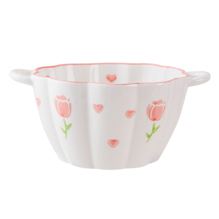 网红酸奶碗带勺甜品碗家用新款ins陶瓷早餐燕麦碗沙拉碗个人专用