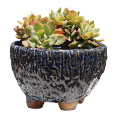 璞器粗陶爆裂复古群生盆