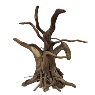 杜鹃根 已煮 水草 栖根 造景 沉木 爬宠箱 莫斯树 鱼缸已泡去黄