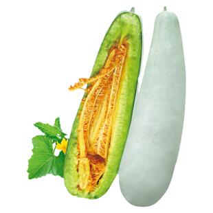 寿光羊角蜜种子羊角蜜瓜苗酥甜瓜种籽苗孑秧脆高产香瓜四季秧苗密