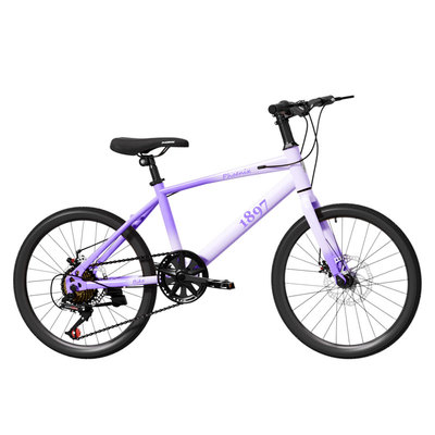 26新款凤凰童车女孩变速山地车