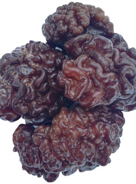 猴脑菇核桃菌干货玛咖玛瑙黑500g