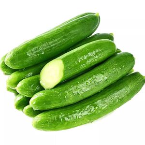 夏季爆品水果小黄瓜新鲜青瓜生吃脆嫩清甜旱黄瓜5斤包邮现摘当日