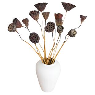 天然莲蓬真花干花花束客厅摆设装饰摆件造景侘寂风新中式禅意插花