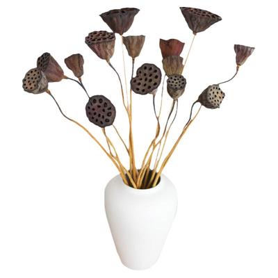 莲蓬真花干花侘寂风新中式禅意