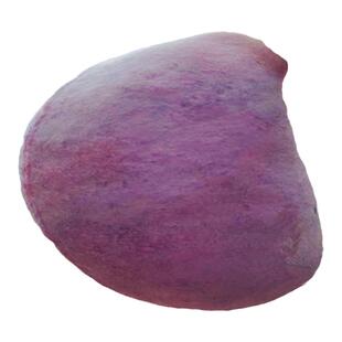 湖南果树无籽少籽当年结果正宗八月瓜树苗果苗瓜苗改良湖北泥球苗