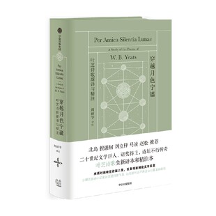 穿越月色宁谧 刷新中文世界对叶芝的认知之作 W.B.叶芝著 一部让你真正读懂叶芝 乃至现代诗歌的解经之作 中信出版社图书 正版
