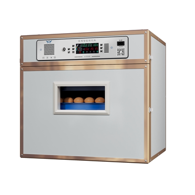 新伟达全自动智能小型家用孵化器