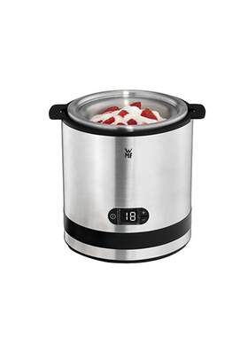 【自营】wmf冰淇淋机家用小型雪糕迷你全自动水果冰激凌机酸奶