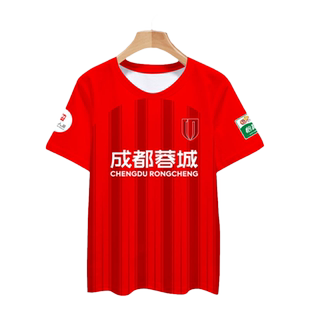 2024成都蓉城队服韦世豪足球衣服冰丝速干短袖T恤衫男女凉快半袖
