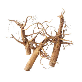 棉根 棉花根 草棉根 棉花树根 蜜根 棉花杆根可切段中药材1斤包邮