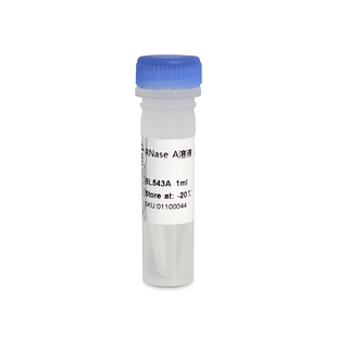 BIOSHARP LIFE SCIENCES 白鲨 BL543A RNase A溶液(核糖核酸酶 A,10mg/ml)含有四个二硫键的单链多肽 1ml/支