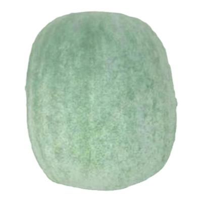 一串铃冬瓜种子迷你小春秋季