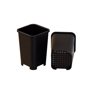 多肉迷你小花盆肉锥专用拇指盆小号塑料加厚韩式景天控根白方盆高