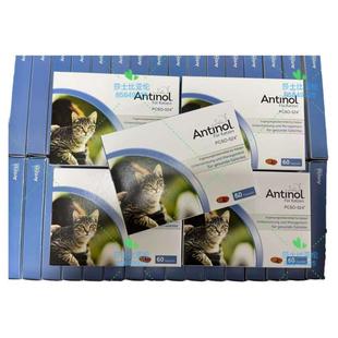 新西兰版安适得Antinol犬猫用关节软骨素PCSO-524 顺丰特快