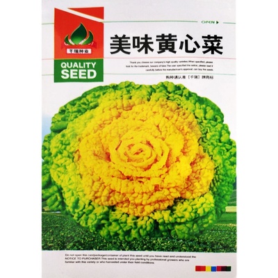黄心菜也好吃耐寒耐低温秋冬季播