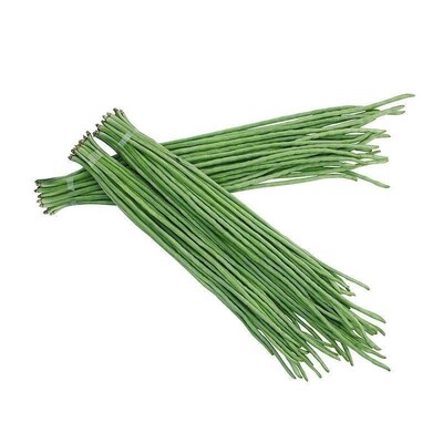 高产不搭架种植长豆角种籽无架豆角种孑大全豇豆阳台蔬菜种子早熟